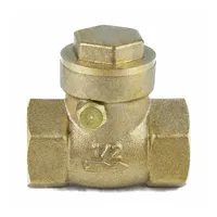 Клапан обратный VCSY3232P-T 1/2? Ду15 Ру40 Y-образный резьбовой пружинный корпус - нержавеющая сталь 316 диск - нержавеющая сталь 316 уплотнение - PTFE купить в Чебоксарах